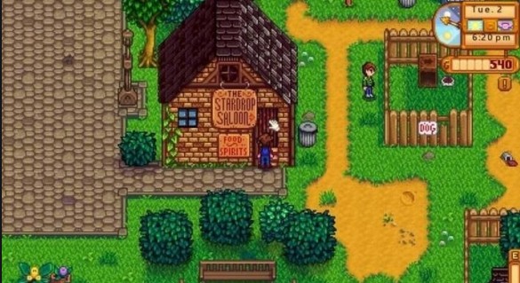 星露谷物语沙漠湖里有什么鱼