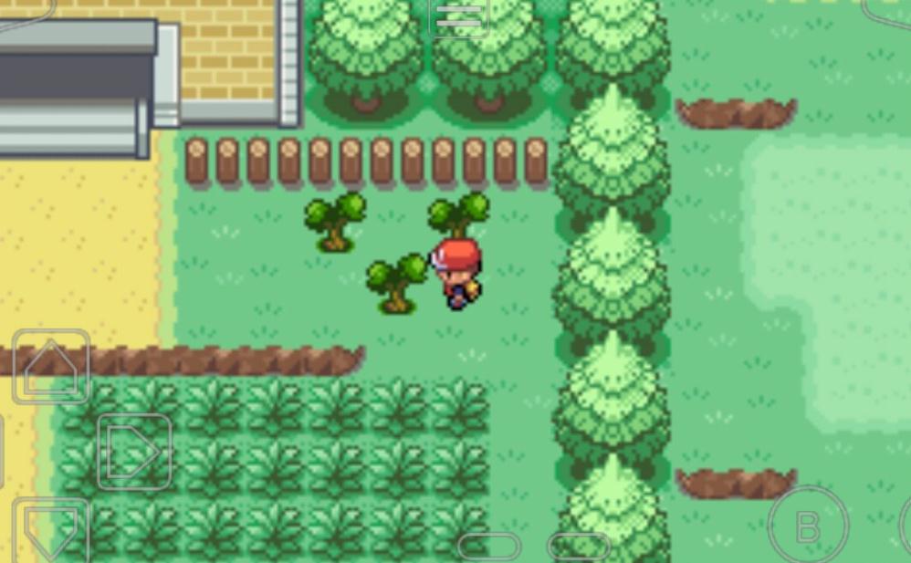 口袋妖怪火红二周目怎么开