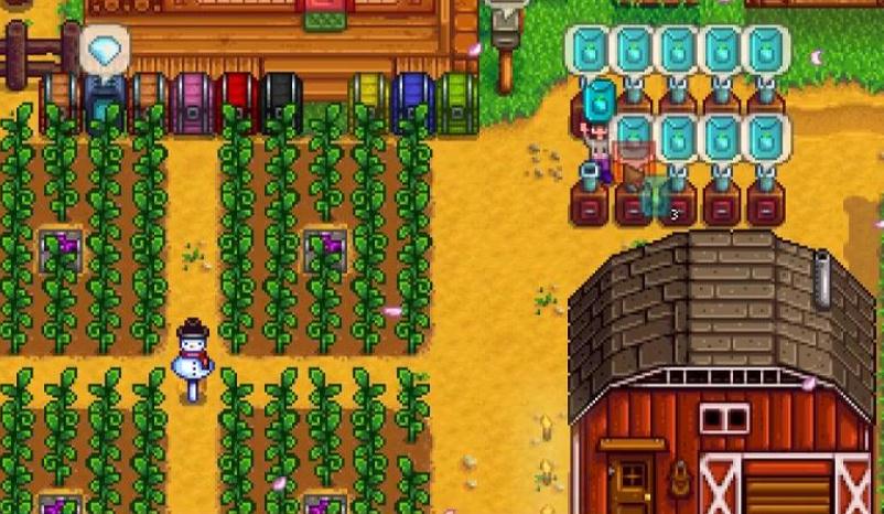 星露谷物语海莉怎么到10心