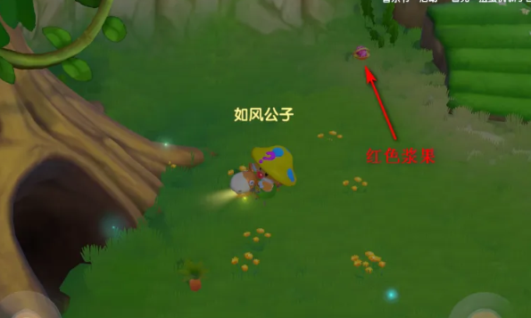 摩尔庄园的红色浆果怎么获得