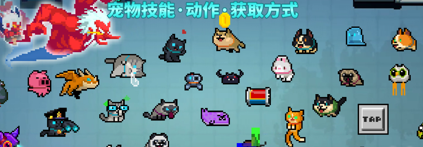 元气骑士里的宠物哪个最好