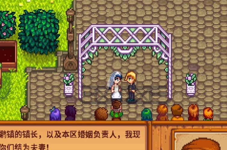 星露谷物语可以结婚的女性有哪些