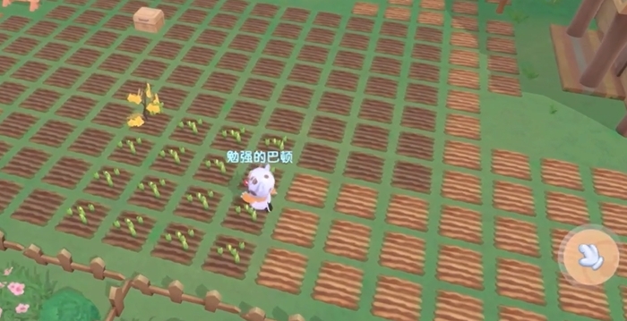 摩尔庄园1到5级怎么赚钱