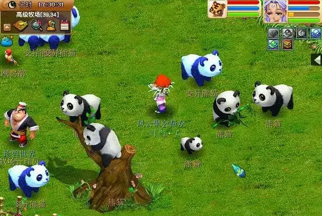 梦幻西游化圣能多什么