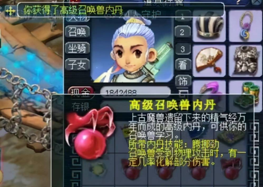 梦幻西游物攻宠物用什么内丹
