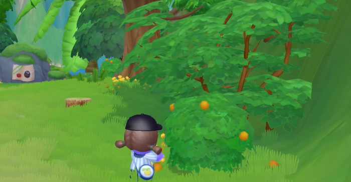 摩尔庄园手游浆果丛林怎么上去