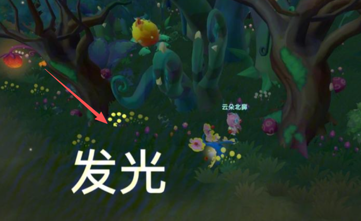 摩尔庄园怎么获取毛毛花