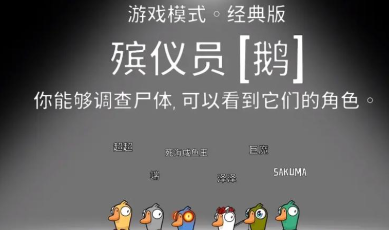 鹅鸭杀手术刀是什么身份