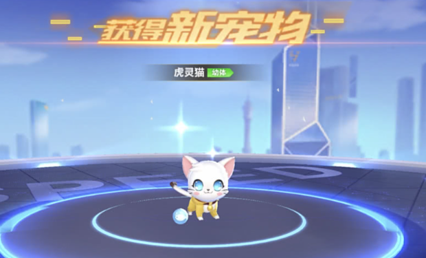 qq飞车许愿哪个宠物好