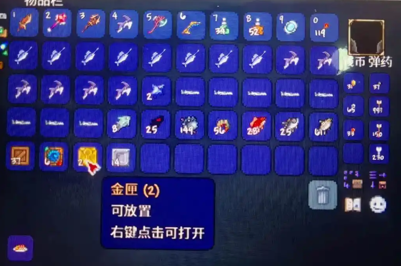 泰拉瑞亚金匣子在哪能钓到