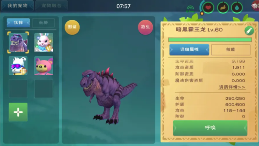 创造与魔法攻击力最高的宠物是什么