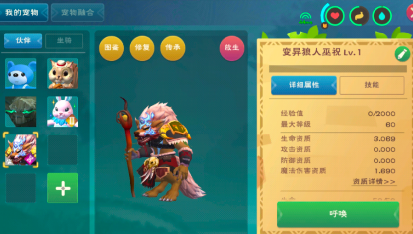 创造与魔法攻击力最高的宠物是什么