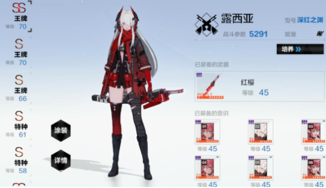 战双帕弥什队伍搭配有什么用