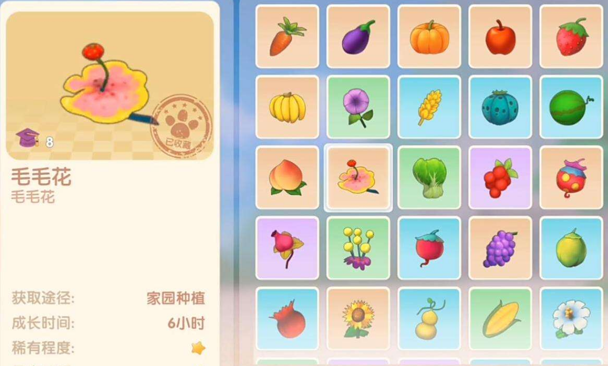 摩尔庄园毛毛花怎么获得