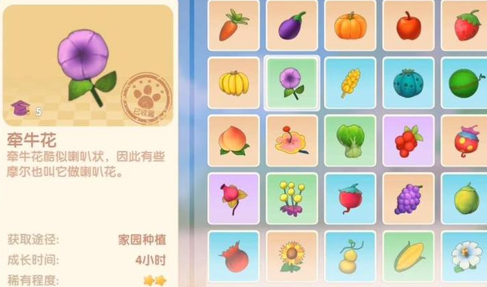 摩尔庄园牵牛花怎么烹饪