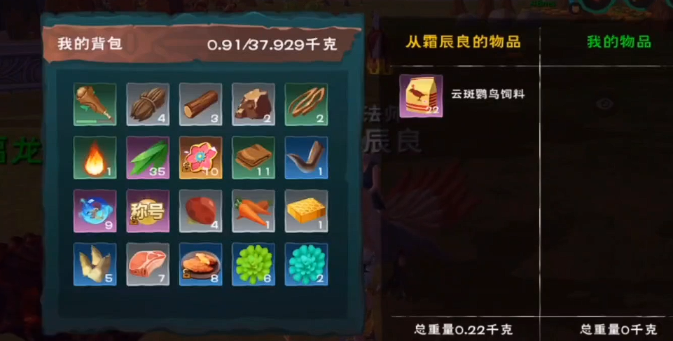 创造与魔法小鸟位置在哪