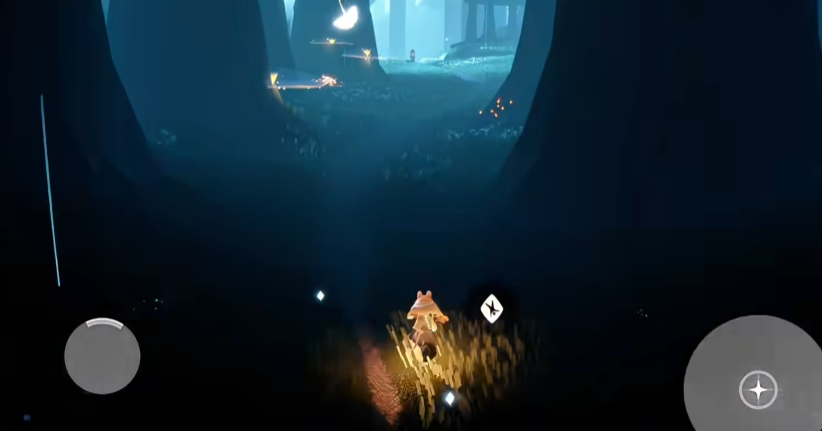 光遇怎么通关雨林