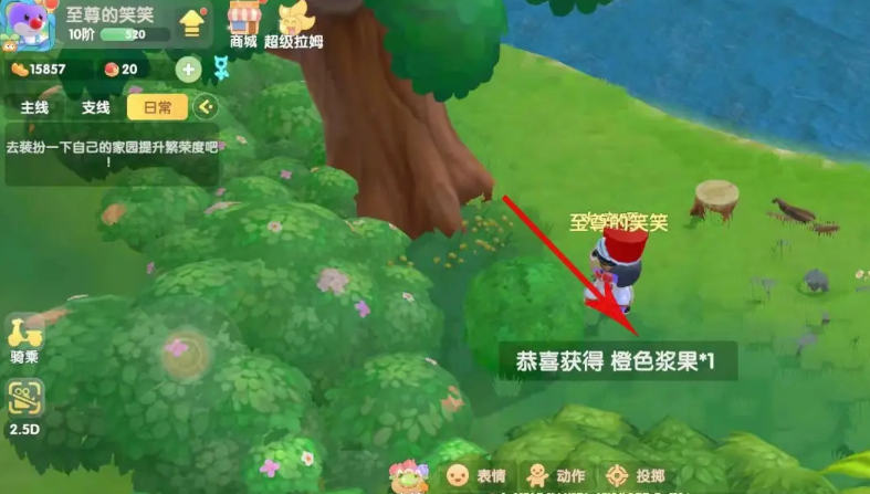 摩尔庄园橙色浆果怎么找