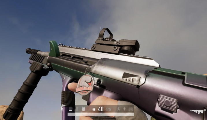 绝地求生556步枪有哪些