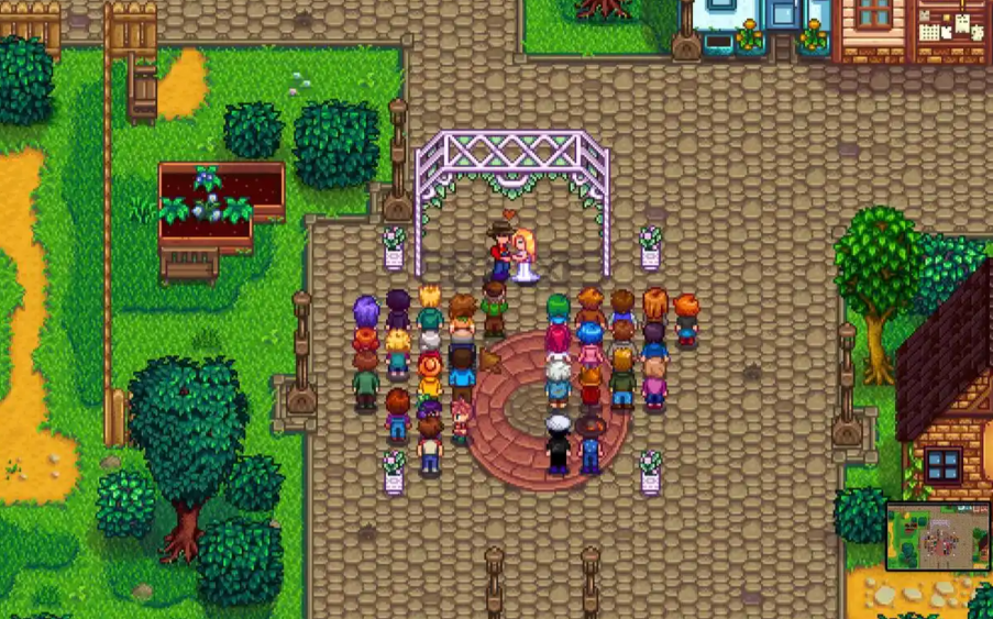 星露谷物语两人联机怎么生孩子