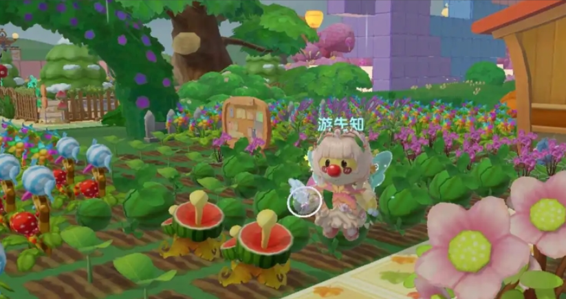 摩尔庄园手游西瓜种子怎么得