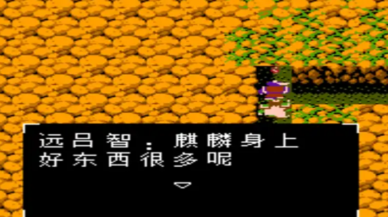 吞食天地2无双大蛇怎么打