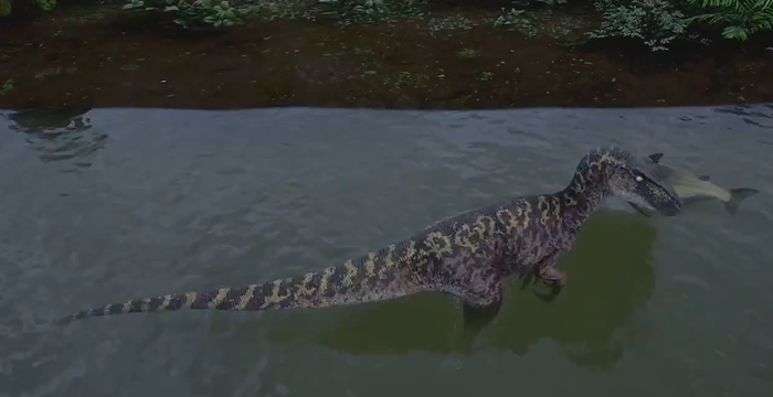 恐龙岛怎么找龙