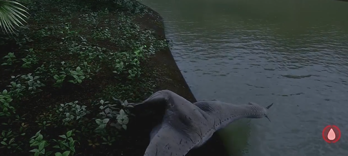 恐龙岛怎么找龙