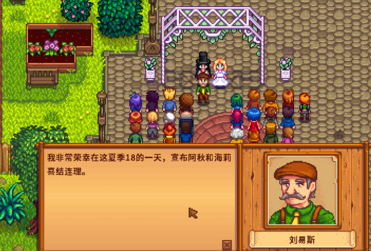 星露谷物语如何结婚