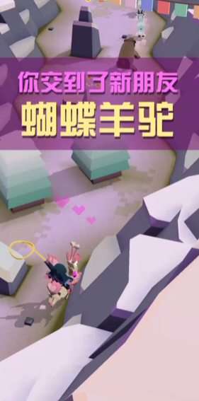 疯狂动物园羊驼怎么抓