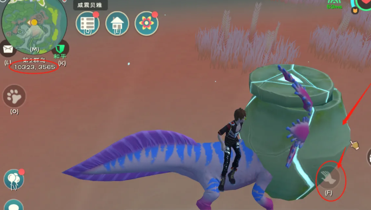 创造与魔法骨头宝箱哪里找