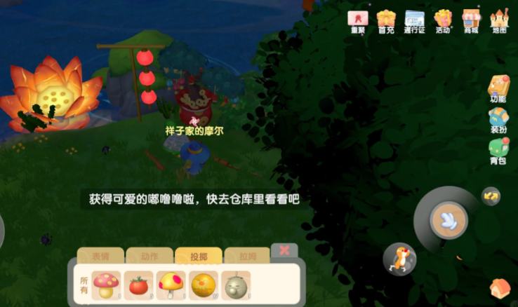 摩尔庄园黑毛球怎么抓