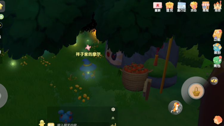 摩尔庄园黑毛球怎么抓